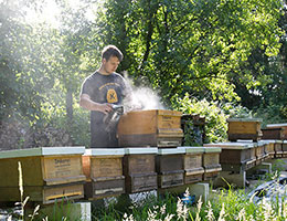 Jens Keinhörster an seinem Bienenstand