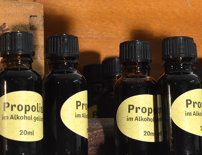 Propolis – das Bienen-Antibiotikum